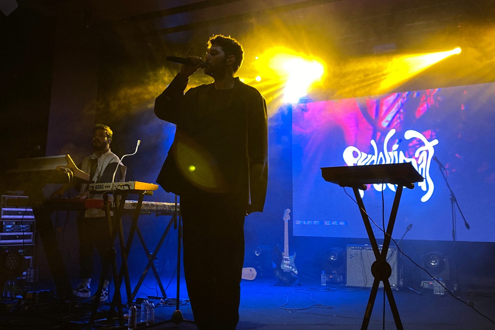 live artist singing on stage