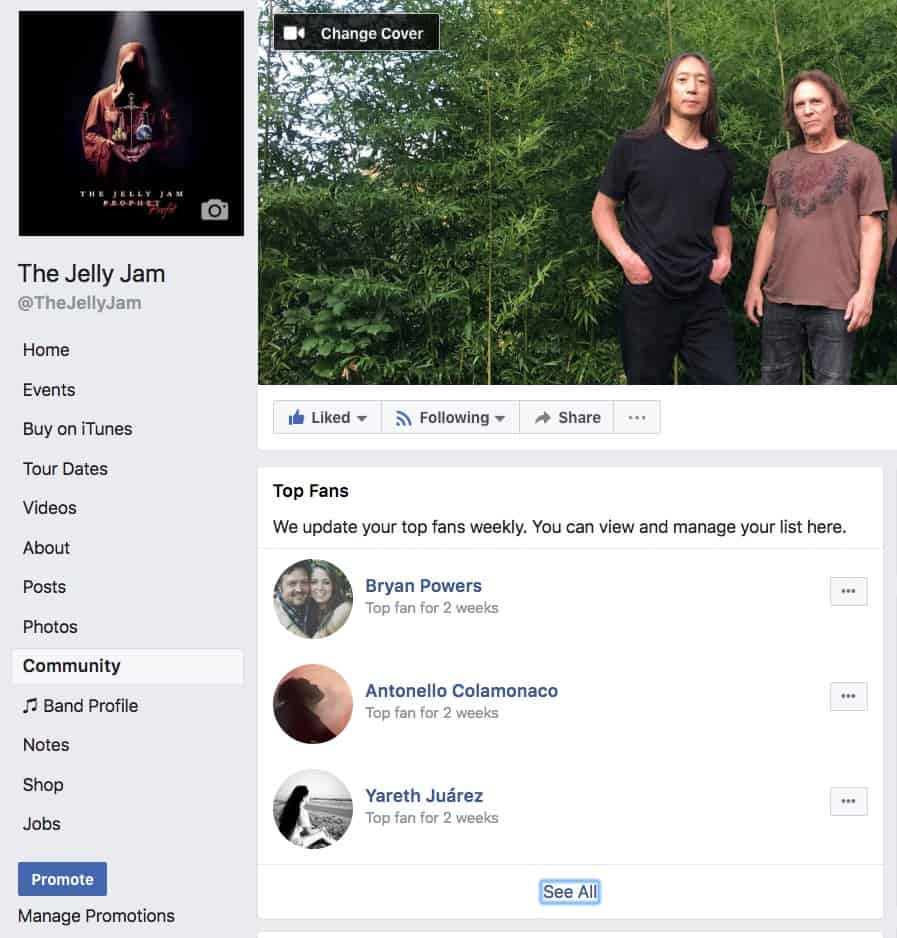 Facebook Fan Badges