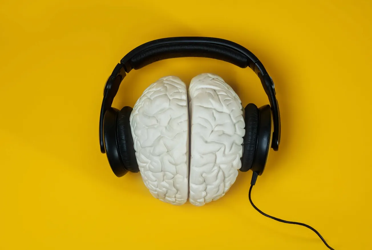 How to Build a Fan Base: the Science-Backed Strategy Most Artists Overlook