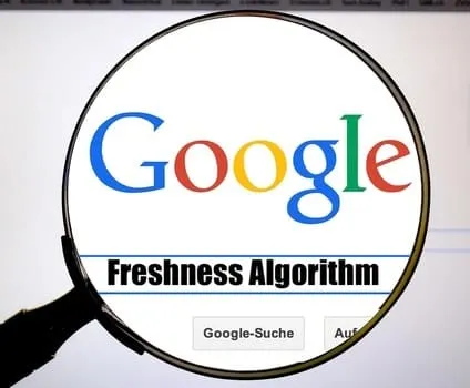 Google search results page viewed through a magnifying glass with "Freshness Algorithm" text highlighting SEO and search algo