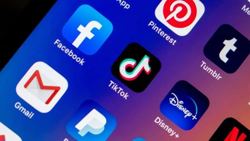 Social media app icons on smartphone screen including Facebook, TikTok, Gmail, Disney+, Pinterest, Tumblr, and PayPal, emphas