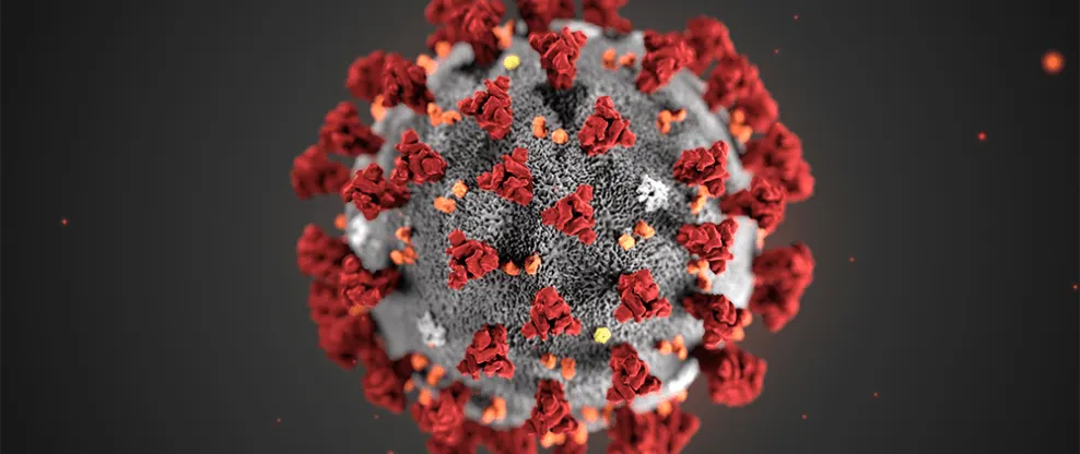 Virus particle close-up illustration, highlighting COVID-19 spike proteins.