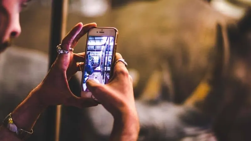 tiktok music promotion