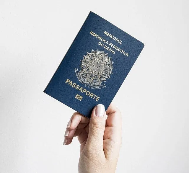 Passport, travel, Brazil official document, Mercosul federation passport, identification, travel necessary document, blue pas