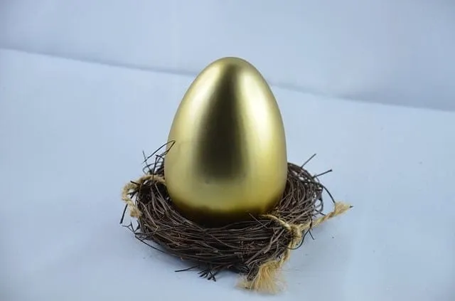 Golden egg resting in a bird's nest, symbolizing valuable or rare opportunities, and new beginnings. Ideal for themes of inve