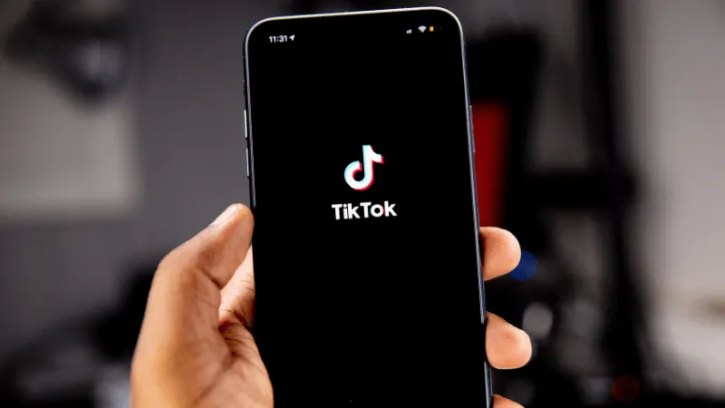 TikTok For Artists