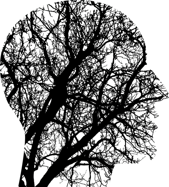 Dark silhouette of a leafless tree with intricate branches against a transparent background, symbolizing nature, growth, and