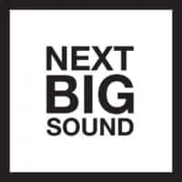 Next big sound music festival logo, promotional event branding for emerging artists and music industry trends.