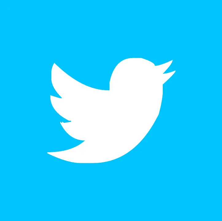 Blue background with white Twitter bird logo, social media icon for digital marketing, online communication, and brand engage