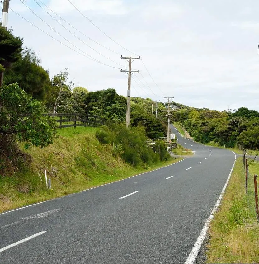 Empty winding rural road with lush green trees and power lines, scenic countryside driving route, peaceful outdoor landscape,