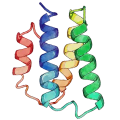 ALt text: Colorful 3D-rendered protein structure highlighting complex molecular helices, useful for scientific research or ed