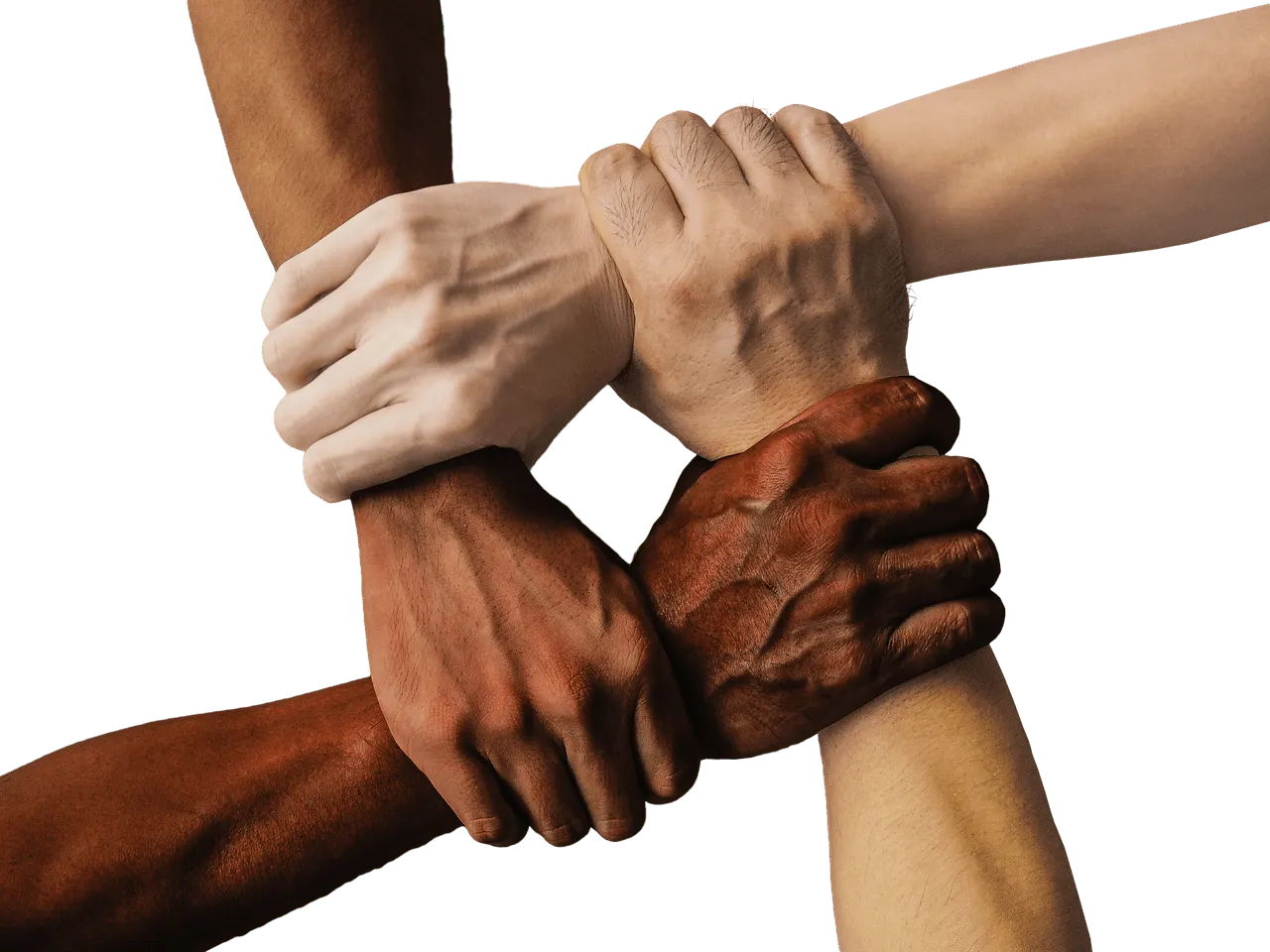 indigenous musicians go viral