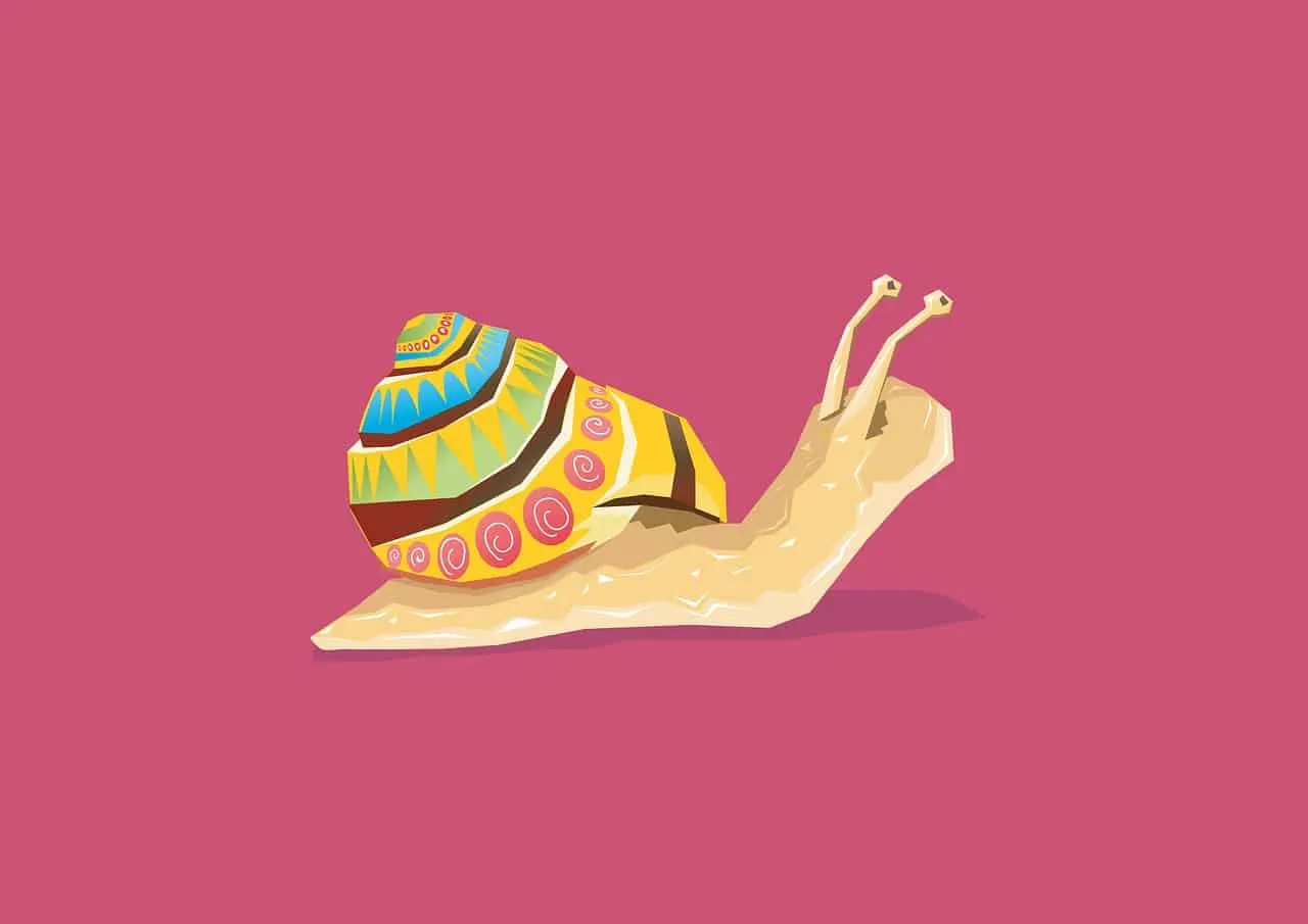 Colorful snail with a decorated shell on a pink background, digital illustration.