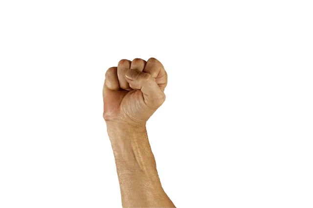 Raised fist symbolizing activism and solidarity against music industry challenges and digital transformation, aligning with H