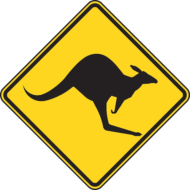 Kangaroo crossing road warning sign in yellow diamond shape, caution for wildlife in outdoor or traffic safety contexts.