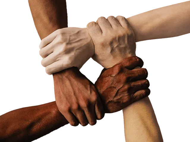 Different skin-toned hands gripping each other in a collaborative gesture representing unity and teamwork.
