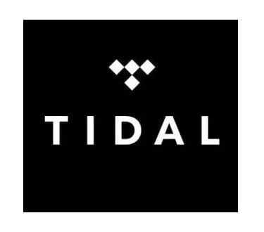 25% of TIDAL laid off