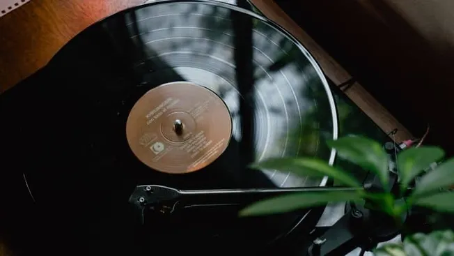High-quality close-up of a vinyl record on a turntable with green plant leaves in foreground, illustrating music, vinyl, and
