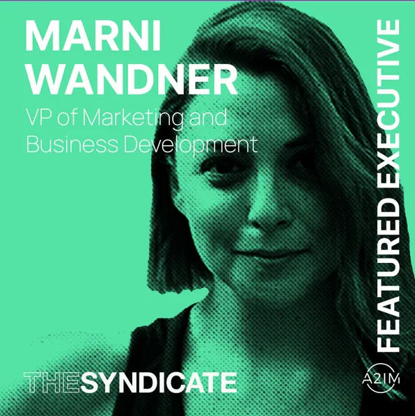 VP of Marketing and Business Development Marni Wandner featured as a featured executive at Hypebot, highlighting expertise in