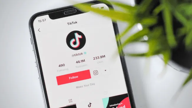 TikTok social media app on smartphone screen showcasing followers and profile, with a plant partially covering the device, em