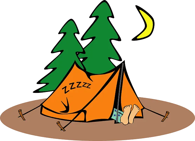 Fresh air and relaxation in nature: cozy camping tent with sleeping bag under tall pine trees at night.