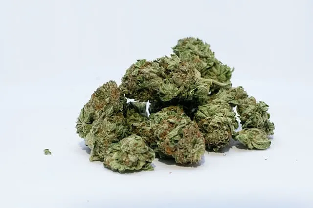 Premium cannabis buds for sale, showcasing high-quality marijuana flowers ideal for medical and recreational use, featured on