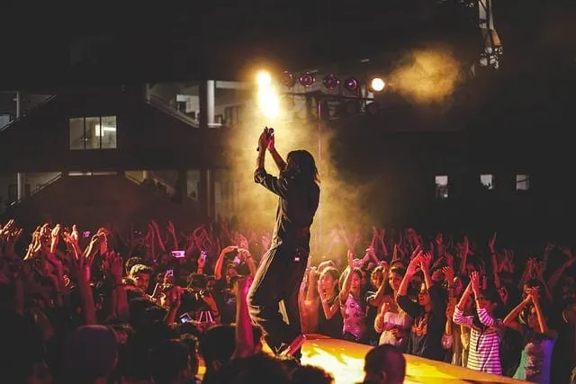 Artist performing on stage.