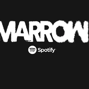 Music industry analytics and music marketing insights from Hypebot on Spotify branding and digital music trends.