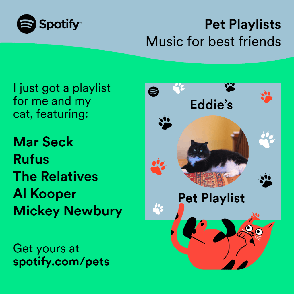 Playlist for pet cats featuring Mar Seck, Rufus, The Relatives, Al Kooper, Mickey Newbury.