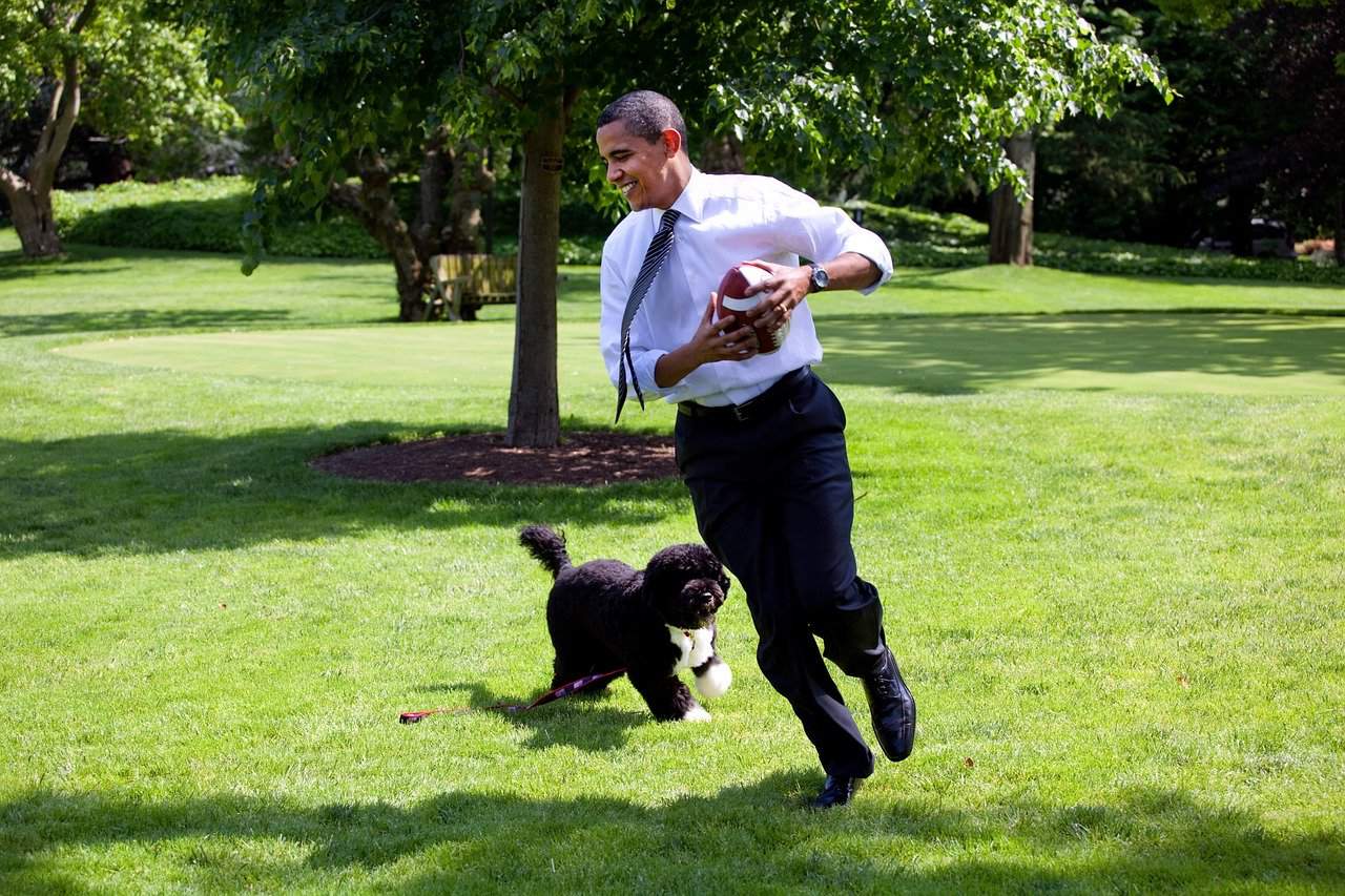 Man playing football with his dog in a park, capturing outdoor fun and pet activities.