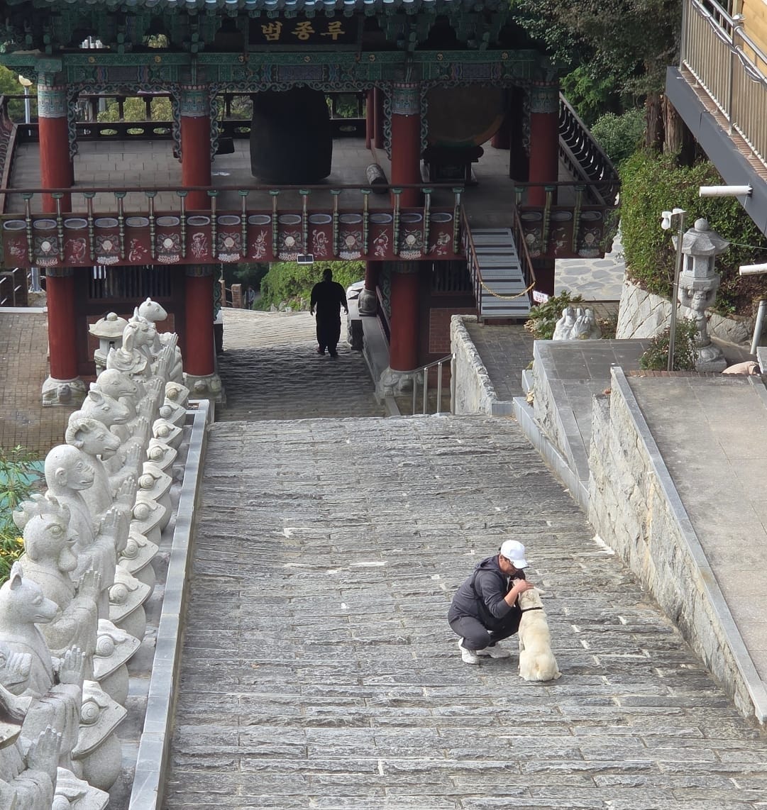 삼밀사의 백구와 부장님 ⓒ 오알에스코리아 ORSKOREA