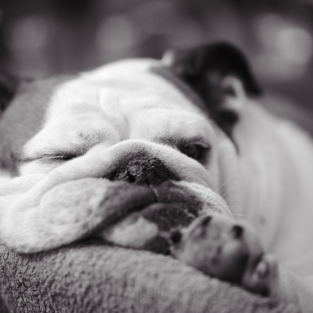 Being bored isn't bad!