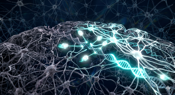 How to Lower Your Biological Age — and Why It Protects Your Brain