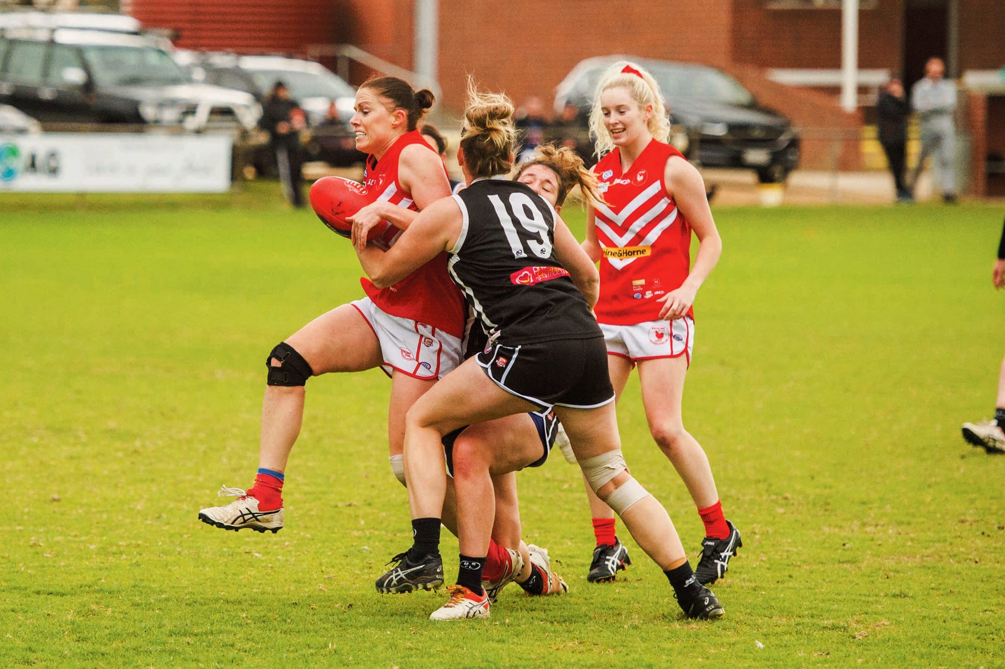 Roosters without an A grade women side for second season