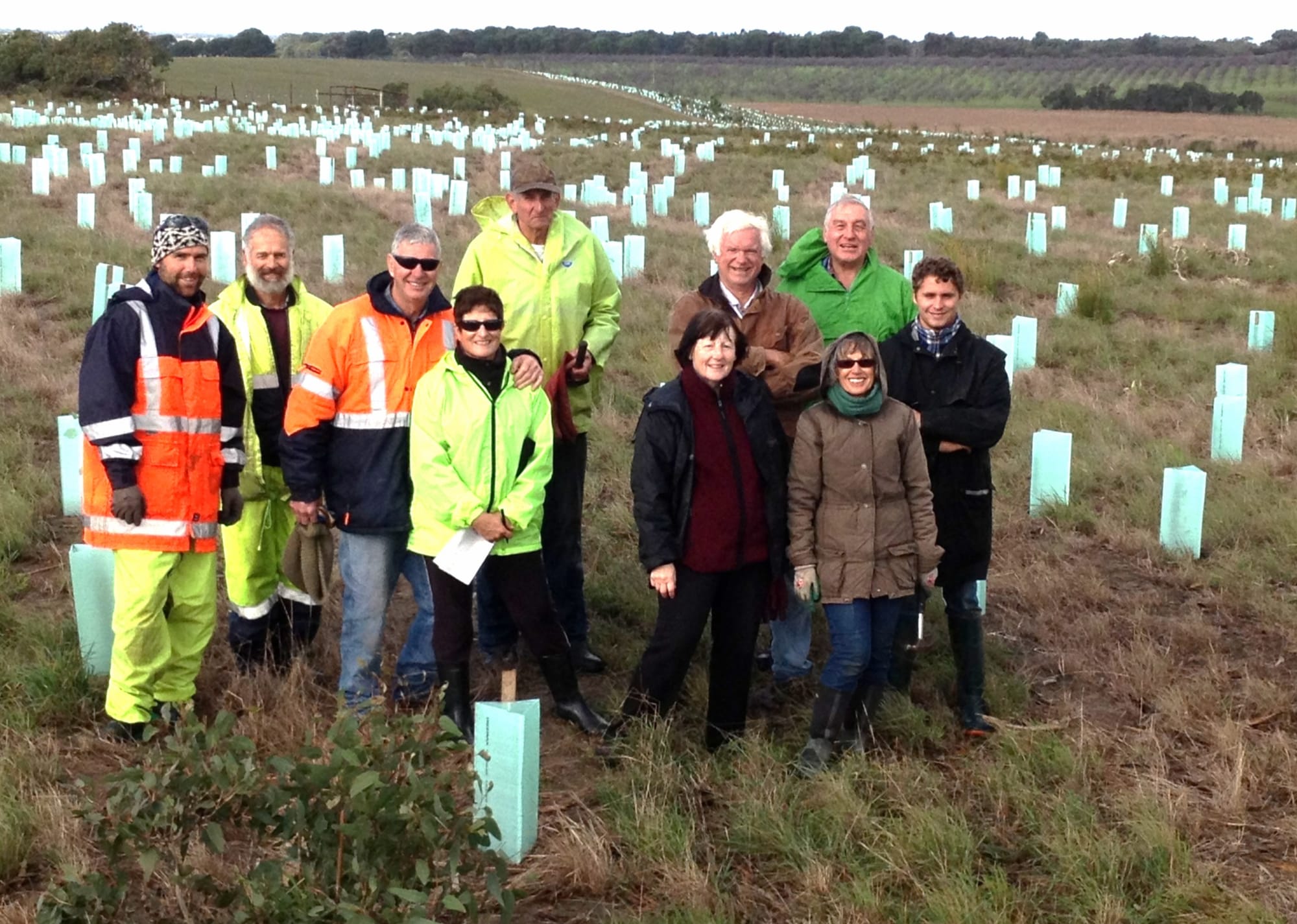 Friends of Cox Scrub celebrate 20 years