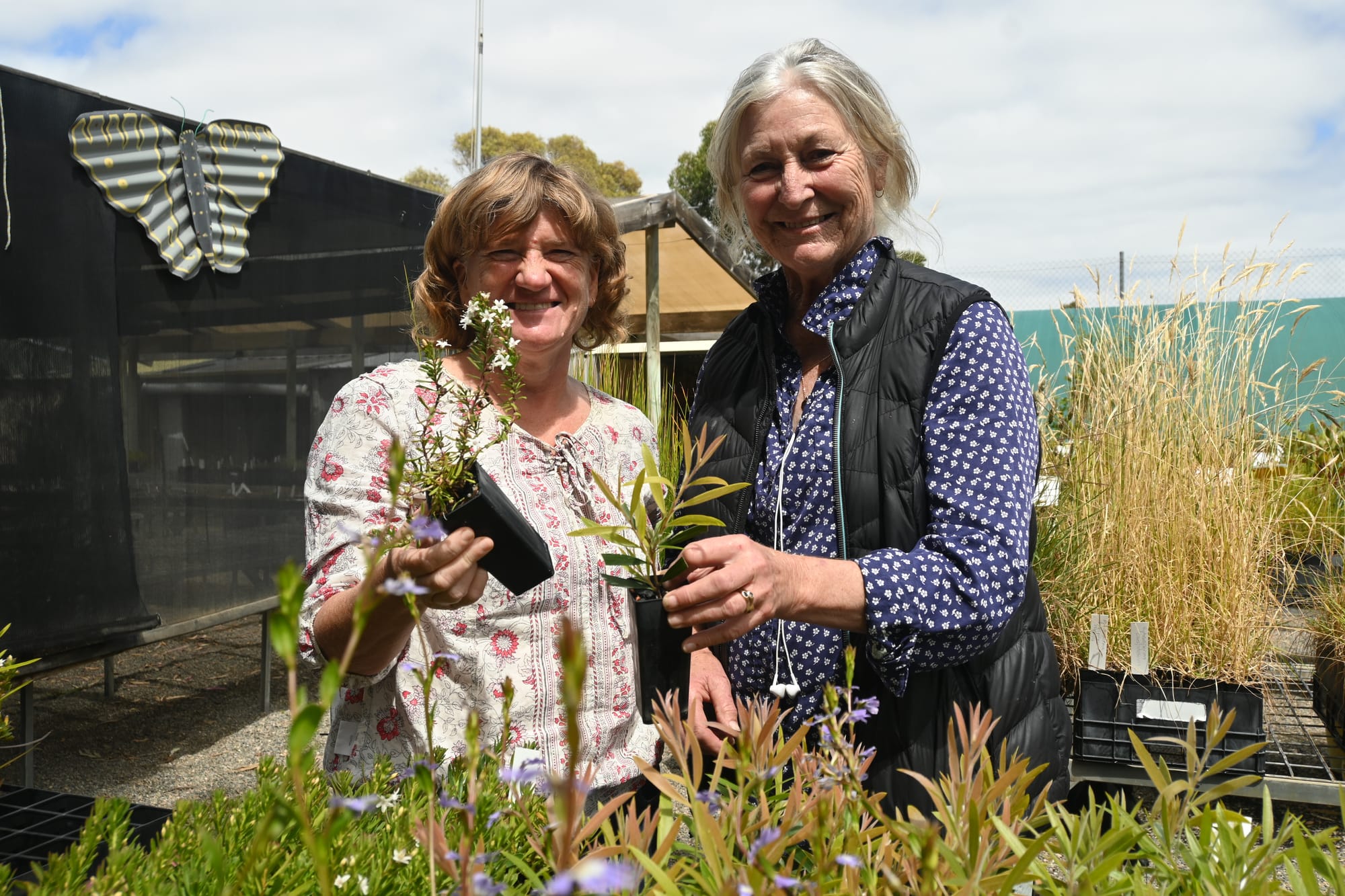 Nursery blossoming with growth