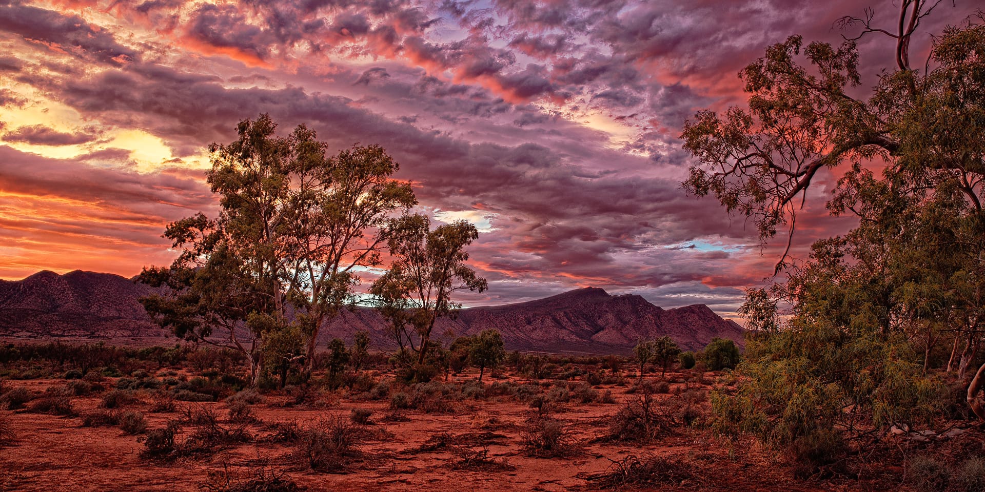 Eagle Challenge recently lands with South Coast Camera Club