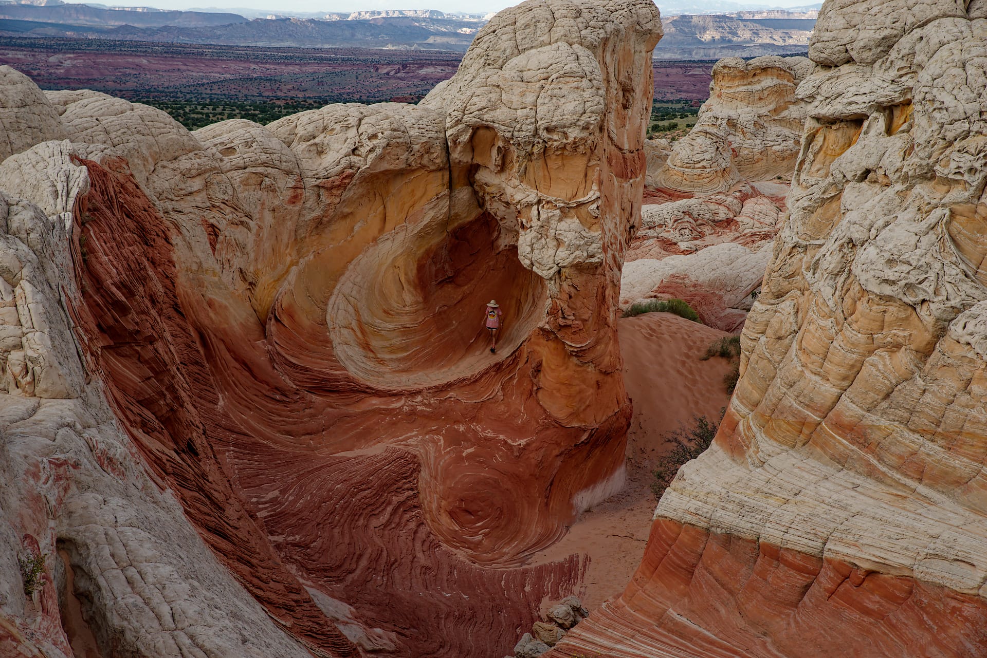 Swapping photographic skills for a better world