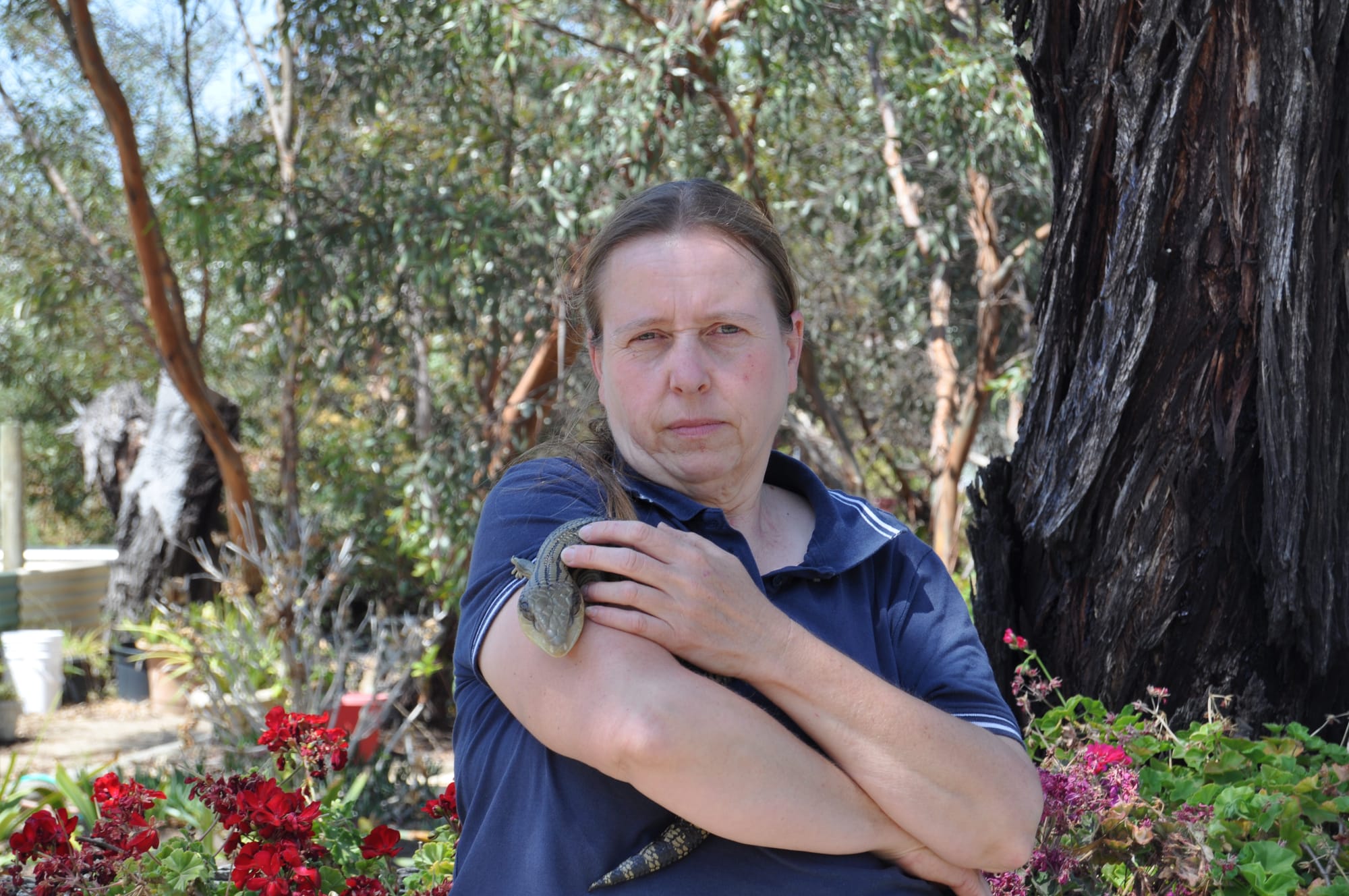 Plea for people to learn more about wildlife care
