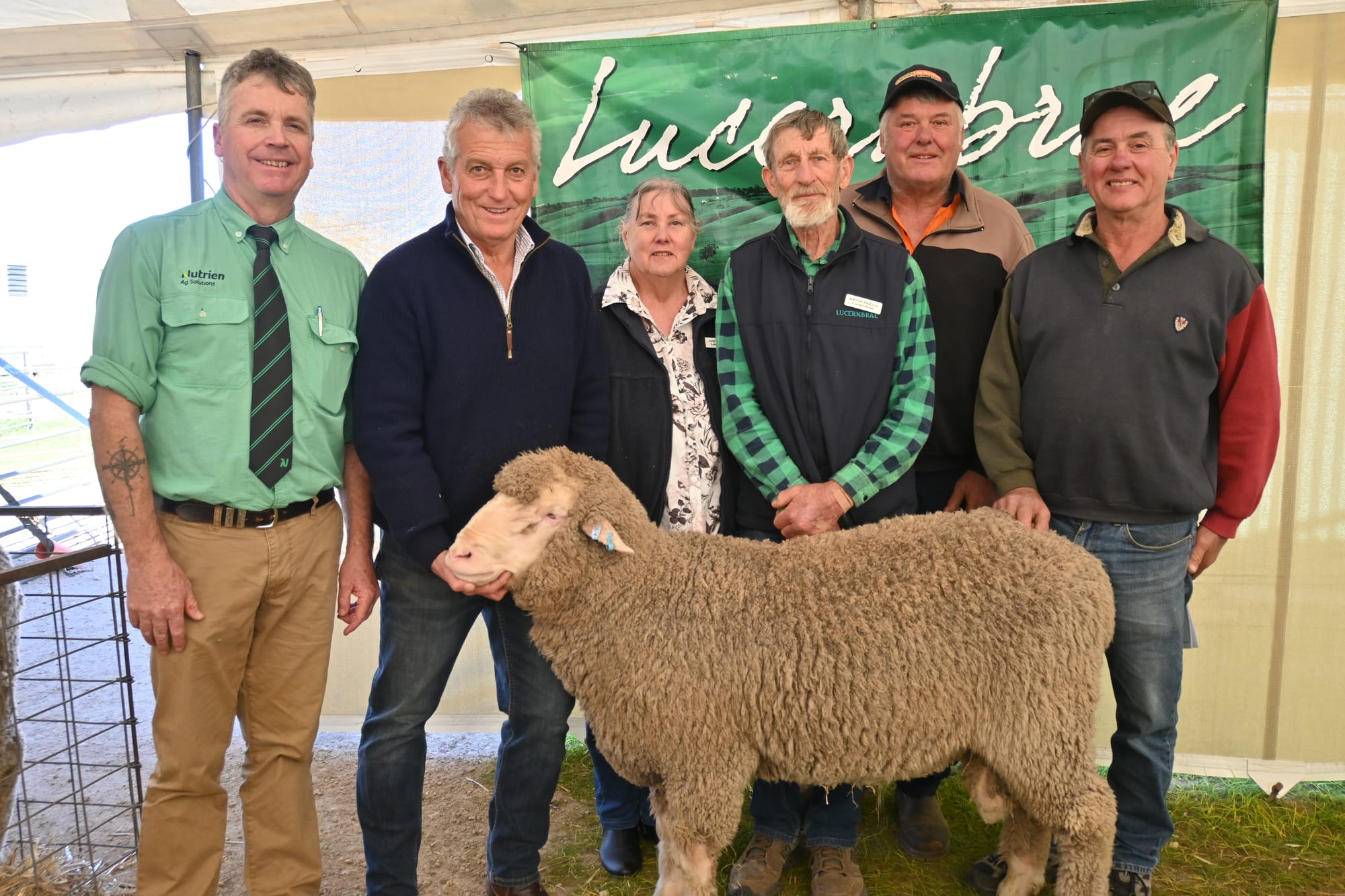 Long-running stud holds Merino sale