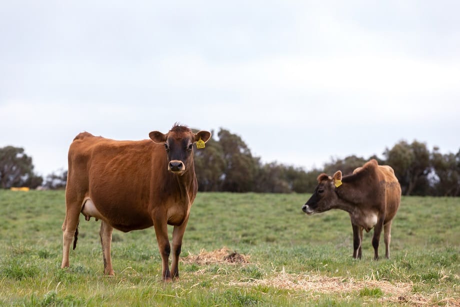 Paris Creek Farm sells