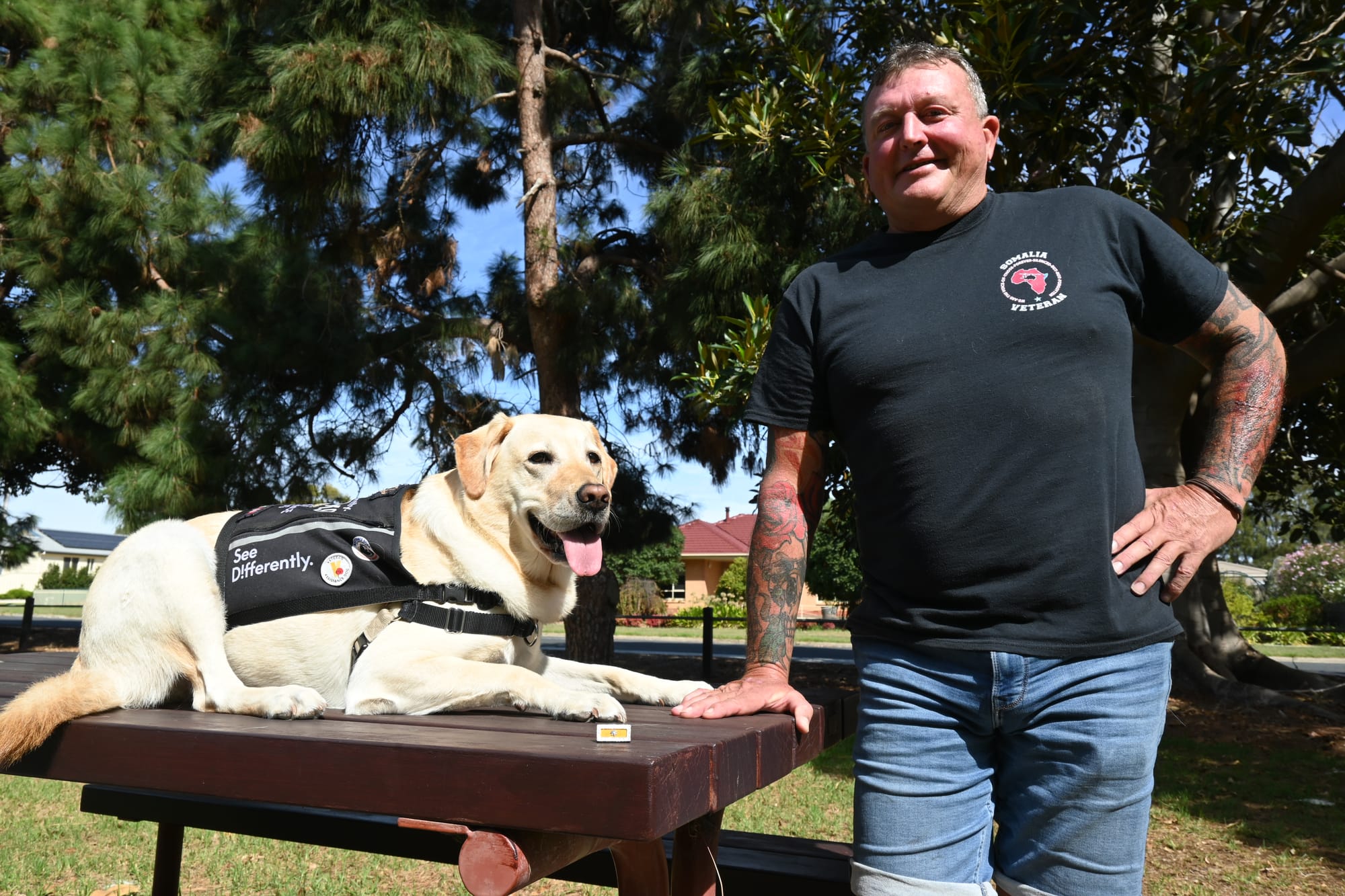 Regiment receives honour for Somalia service