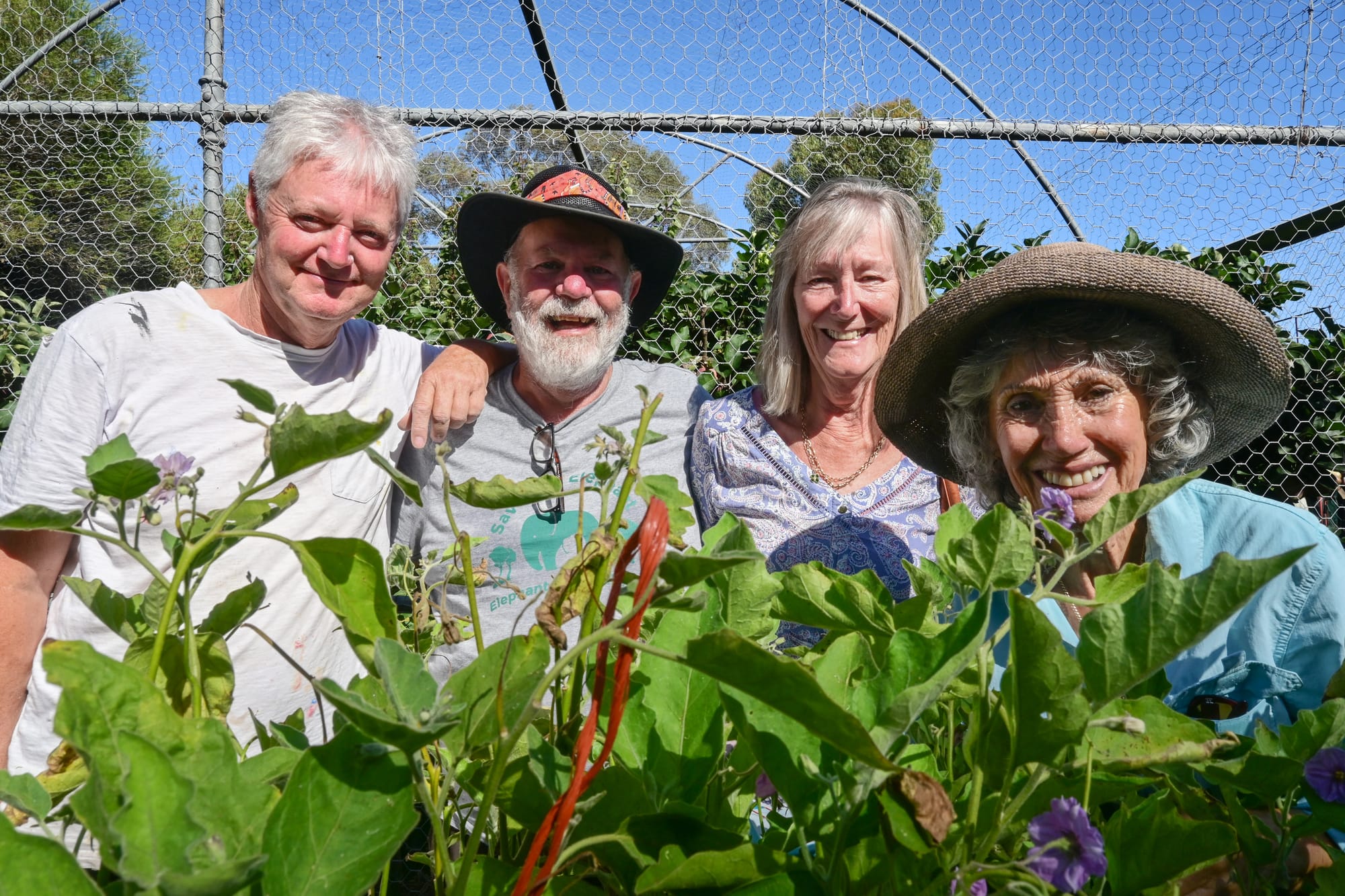 Green thumbs-up for local garden