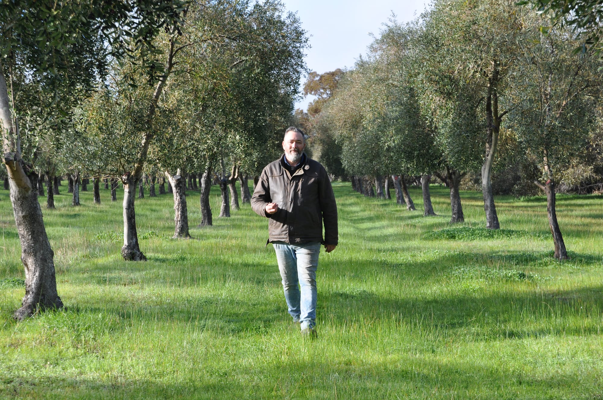 A future for olives at Peninsula Providore