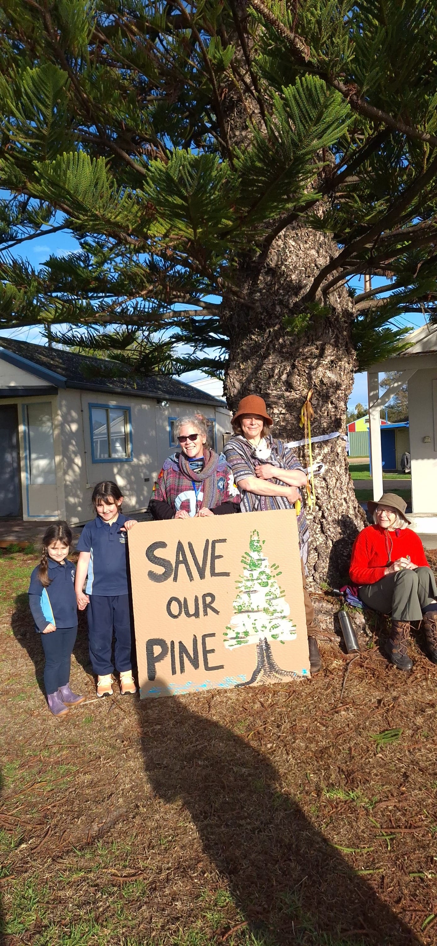Protest at Milang halts removal of 75-year-old tree... STANDING FIRM