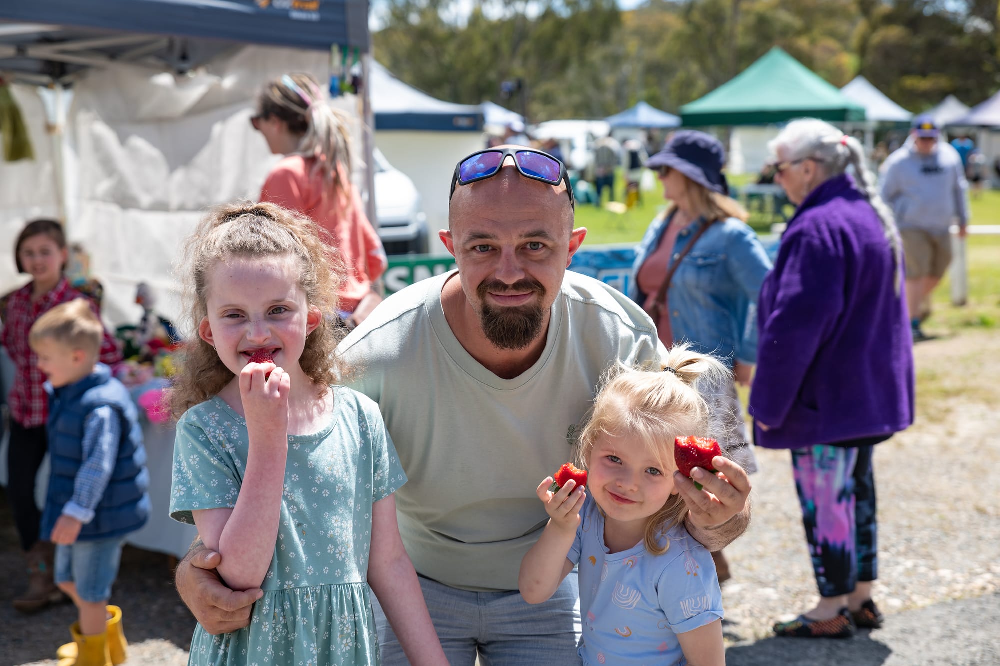 Fun, fruitful Macclesfield day out sees record-crowd