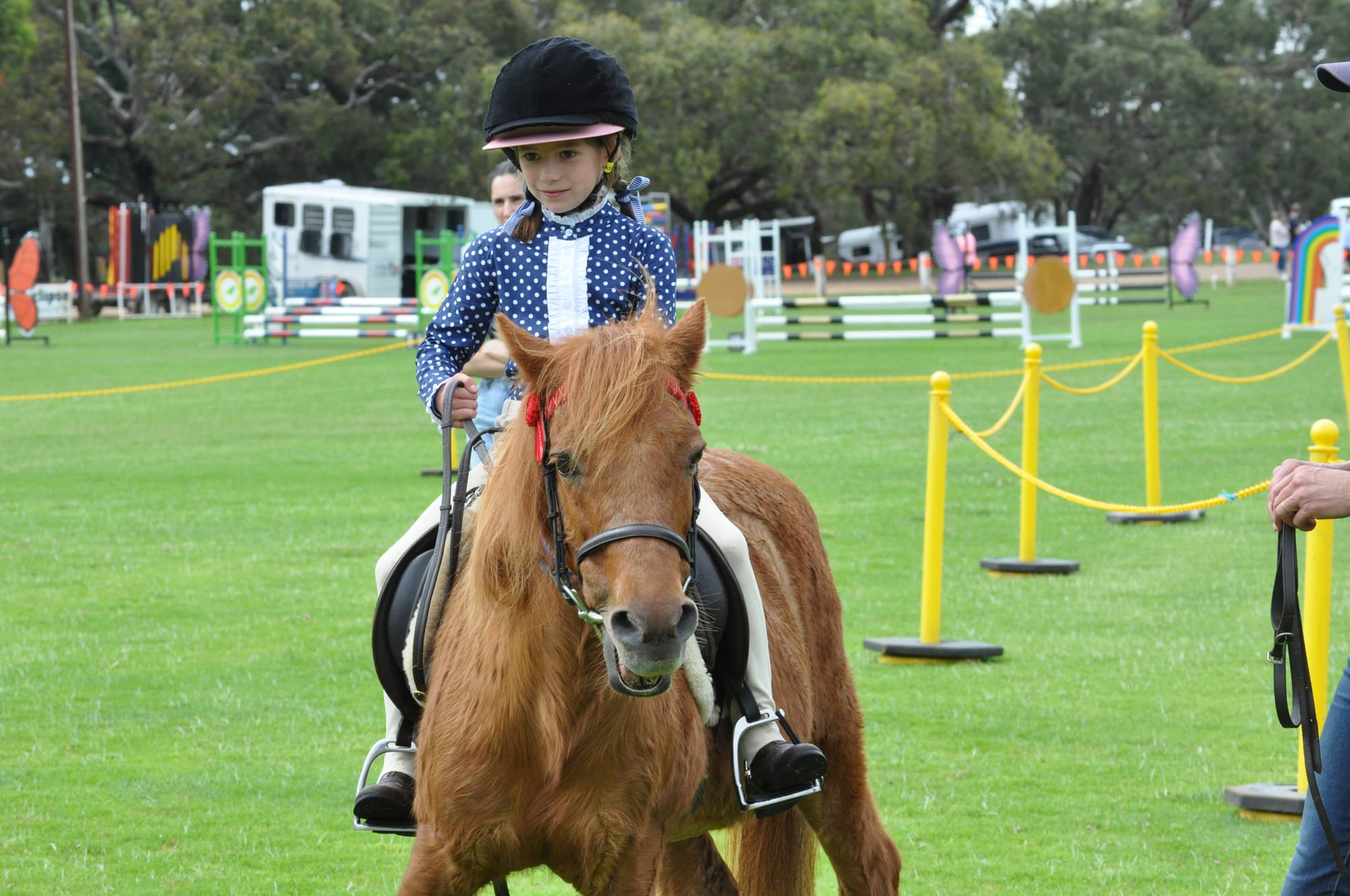 Macclesfield Horse Show notches up another win