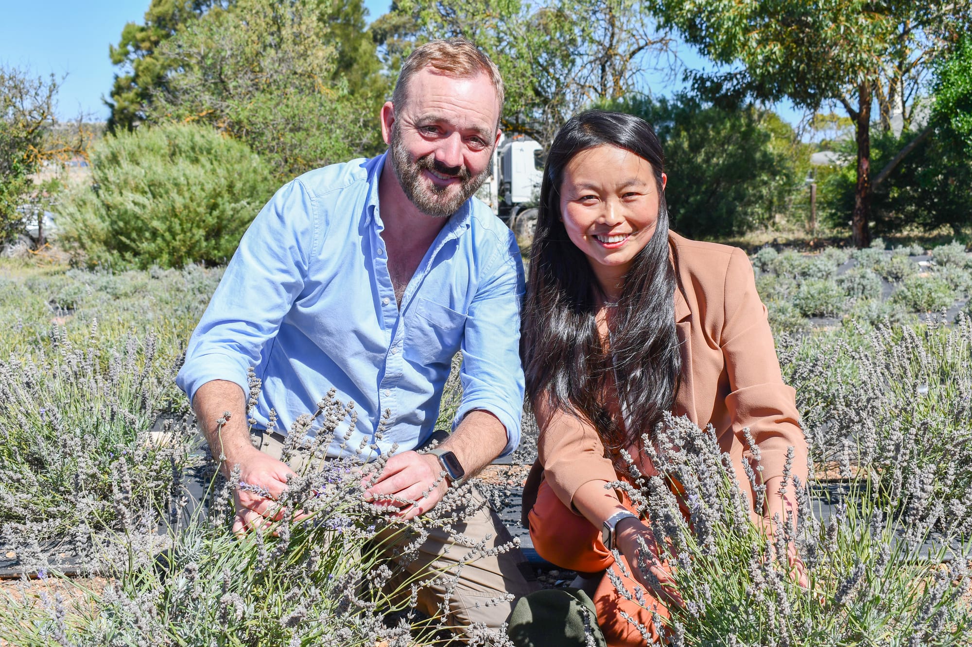 ‘Idyllic’ lavender farm hidden in Strathalbyn
