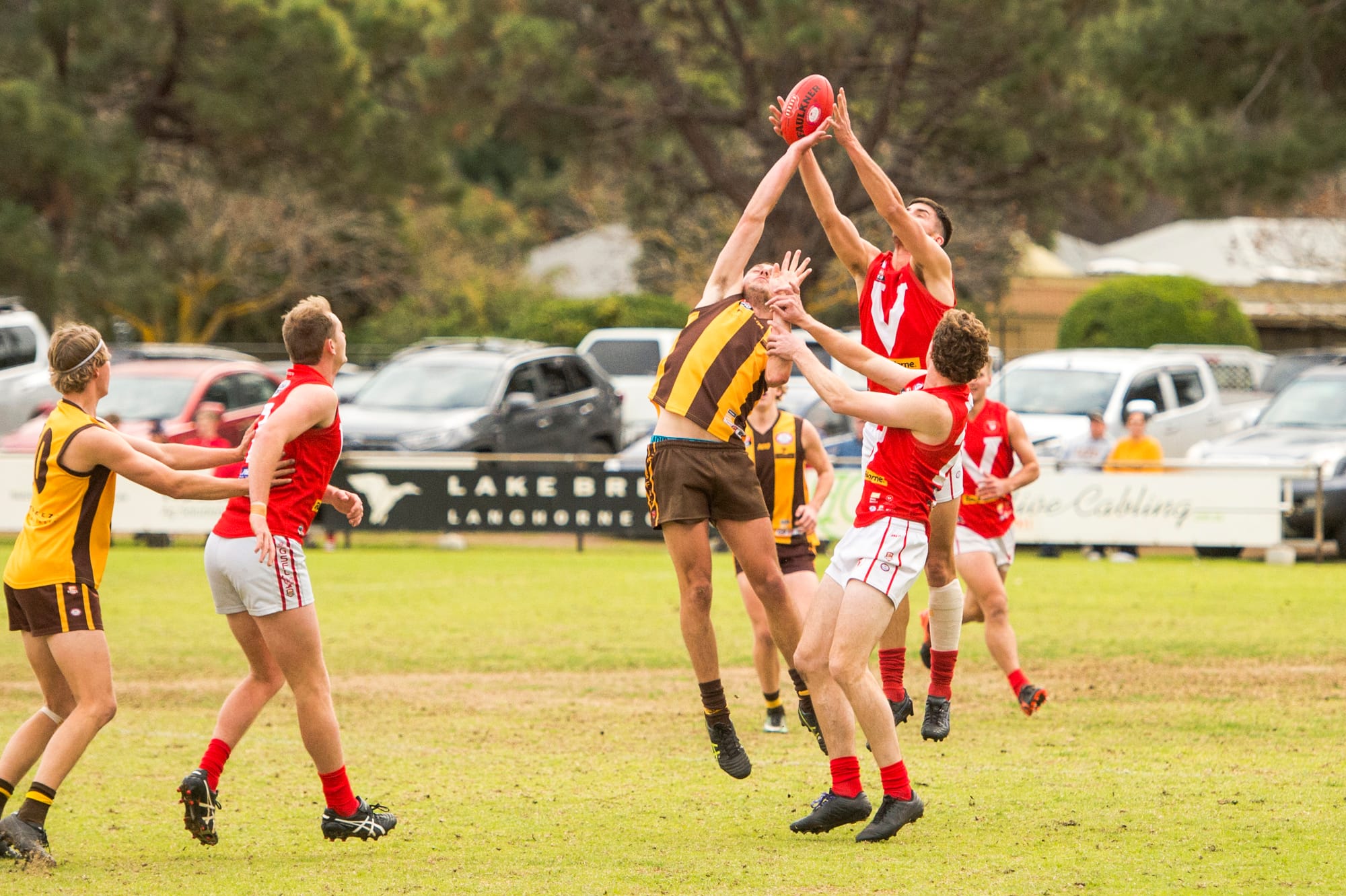 Roosters break drought against Langhorne Creek to keep final’s hopes alive
