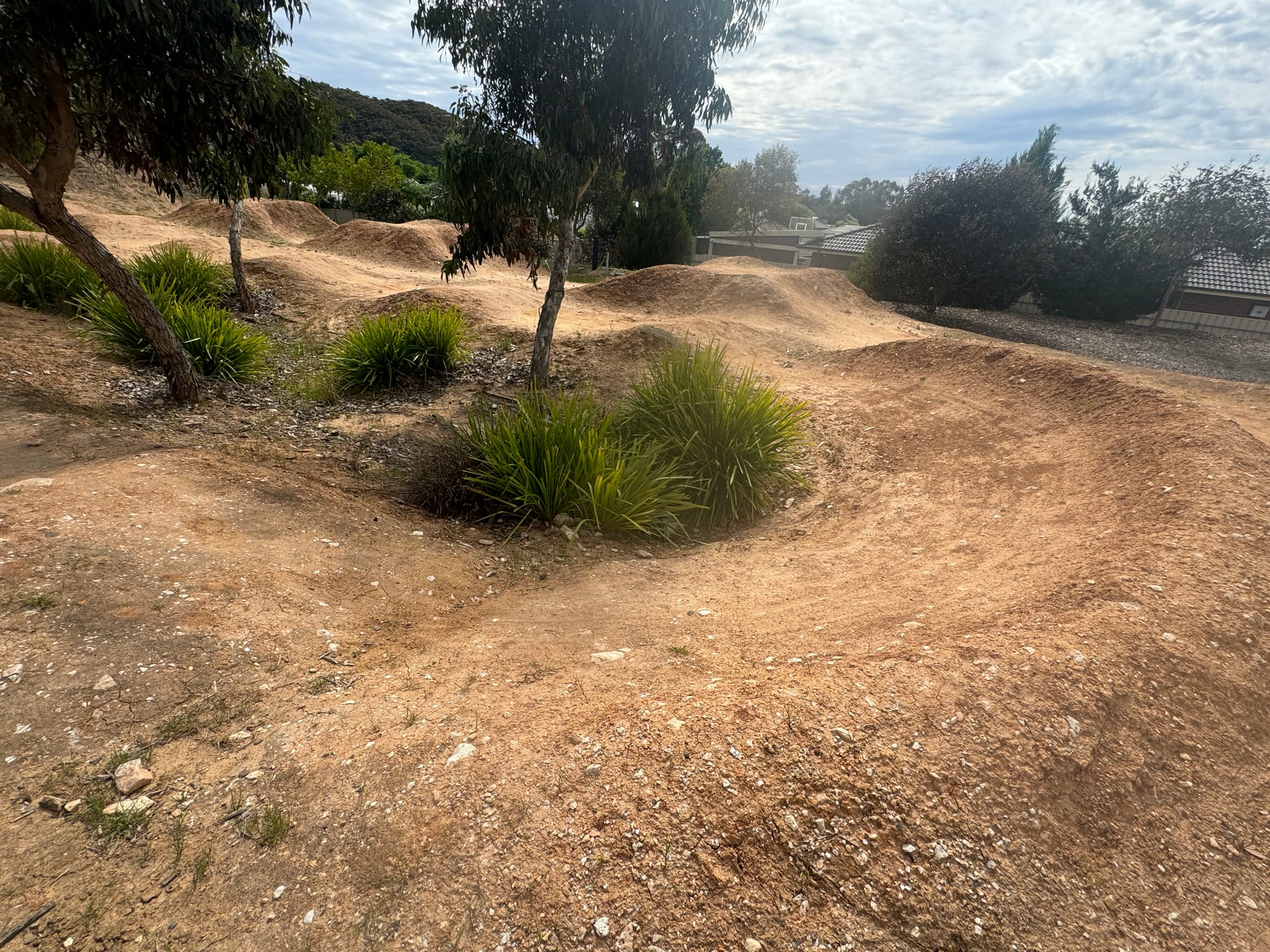 Council considers dirt jumps feedback